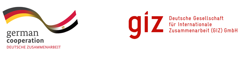 about giz 1 about giz 1